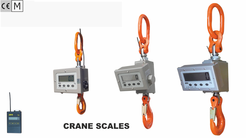crane scales
